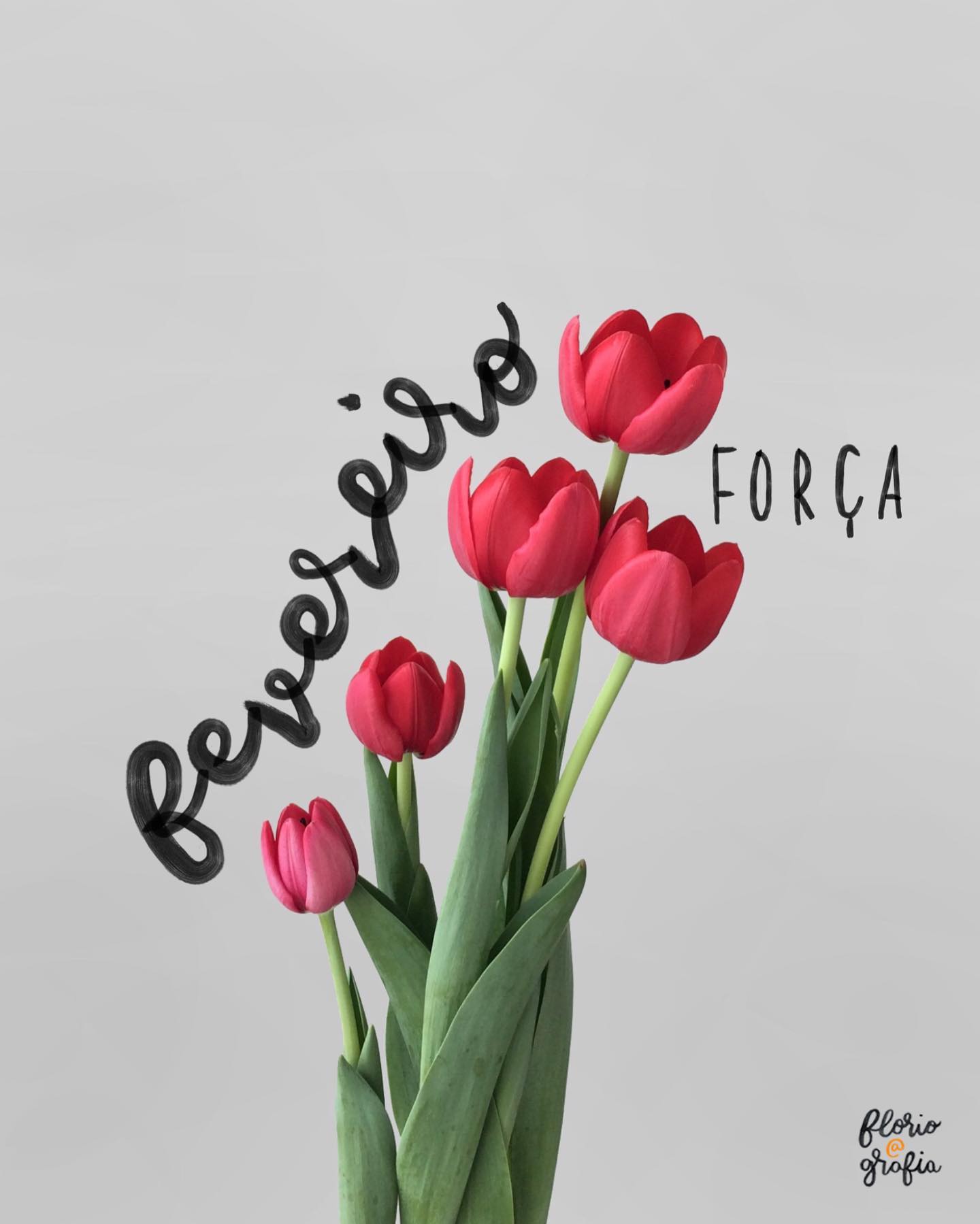 F E V E R E I R O 🌷 O segundo mês do ano chegou, e com ele espero força. Força pra continuar a viver um dia de cada vez, força pra deixar pra trás o que já passou, força principalmente pra quem continua trabalhando na linha de frente nessa pandemia, e força pra não perder o ânimo e a gratidão das simples coisas que a gente ainda tem ✨Quem é o teu maior exemplo de força? #bomdia #floriografia #tulipa