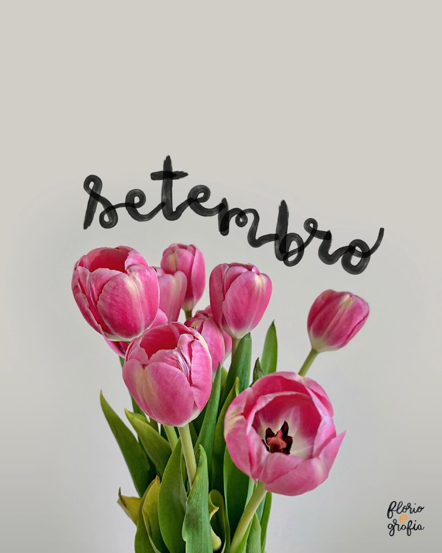 S E T E M B R O 🌷Nem dá pra acreditar que mais um mês chegou! Tem dias que sinto uma sensação de perda de tempo quando olho pra trás, especialmente durante essa pandemia. Mas é nessas horas que corrijo o meu pensamento, penso em cada coisa que já aconteceu de lá pra cá, e vejo o quanto que as coisas já melhoraram. A tulipa tem significados diferentes de acordo com a sua cor. Na cor rosa, significa gentileza e confiança ♥️ E é exatamente isso que desejo pro mês de Setembro pra todos vocês: mais gentileza - que começa de dentro pra fora (muitas vezes a gente é mais gentil com uma pessoa que nem conhecemos do que com a gente mesma ou com quem está ao nosso redor), e mais confiança no processo que é a vida (tem dias que são bons, outros dias ruins, e isso é absolutamente normal). 

Uma coisa que me deixou empolgada é que no mês passado comecei junto com a @tecapapelaria a fazer o processo do Calendário Floriografia x Teca do próximo ano 🤗 Espero poder compartilhar com vocês em breve! #mesflorido #tulipas #floriografia